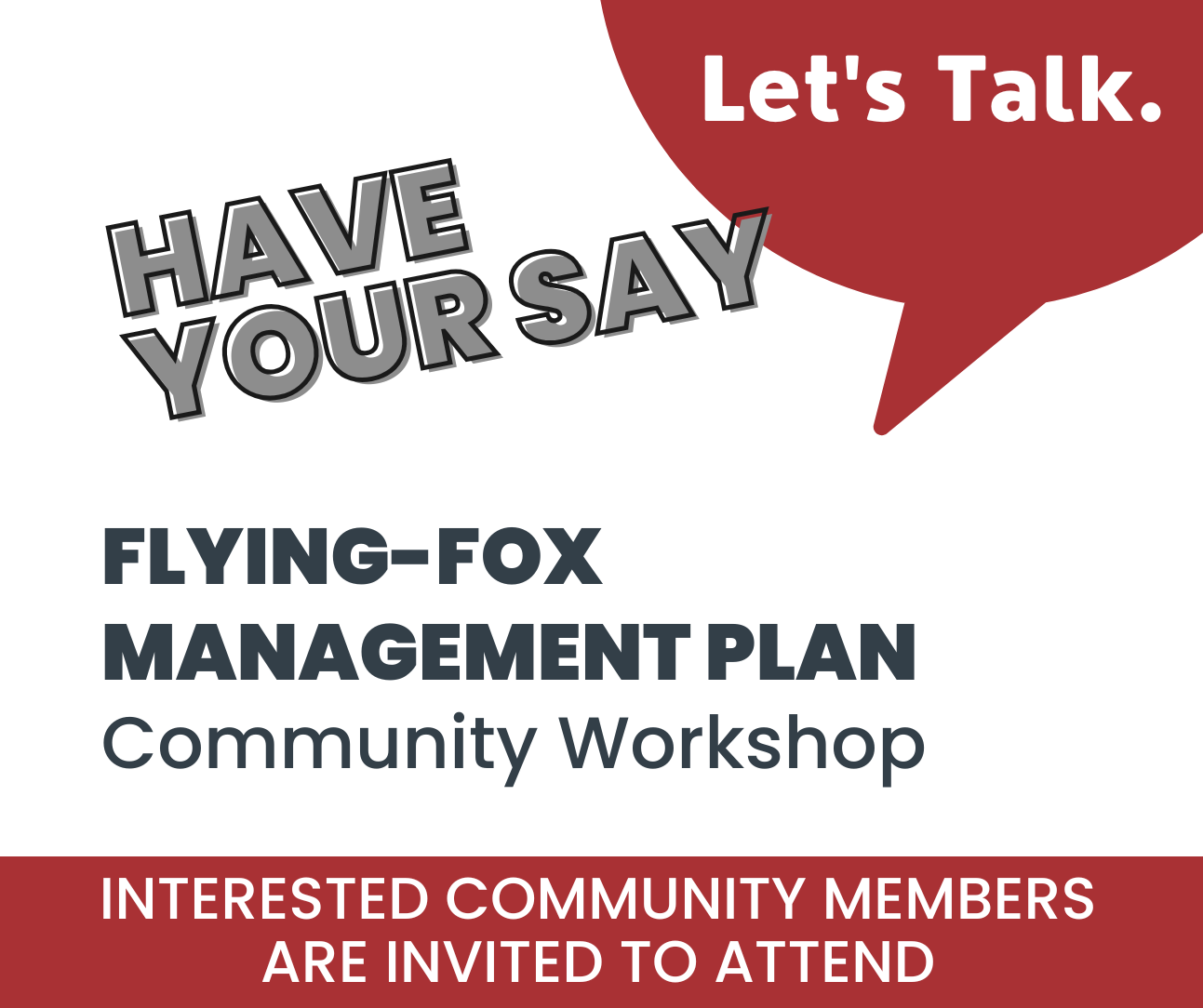 Flying Fox Community Workshop