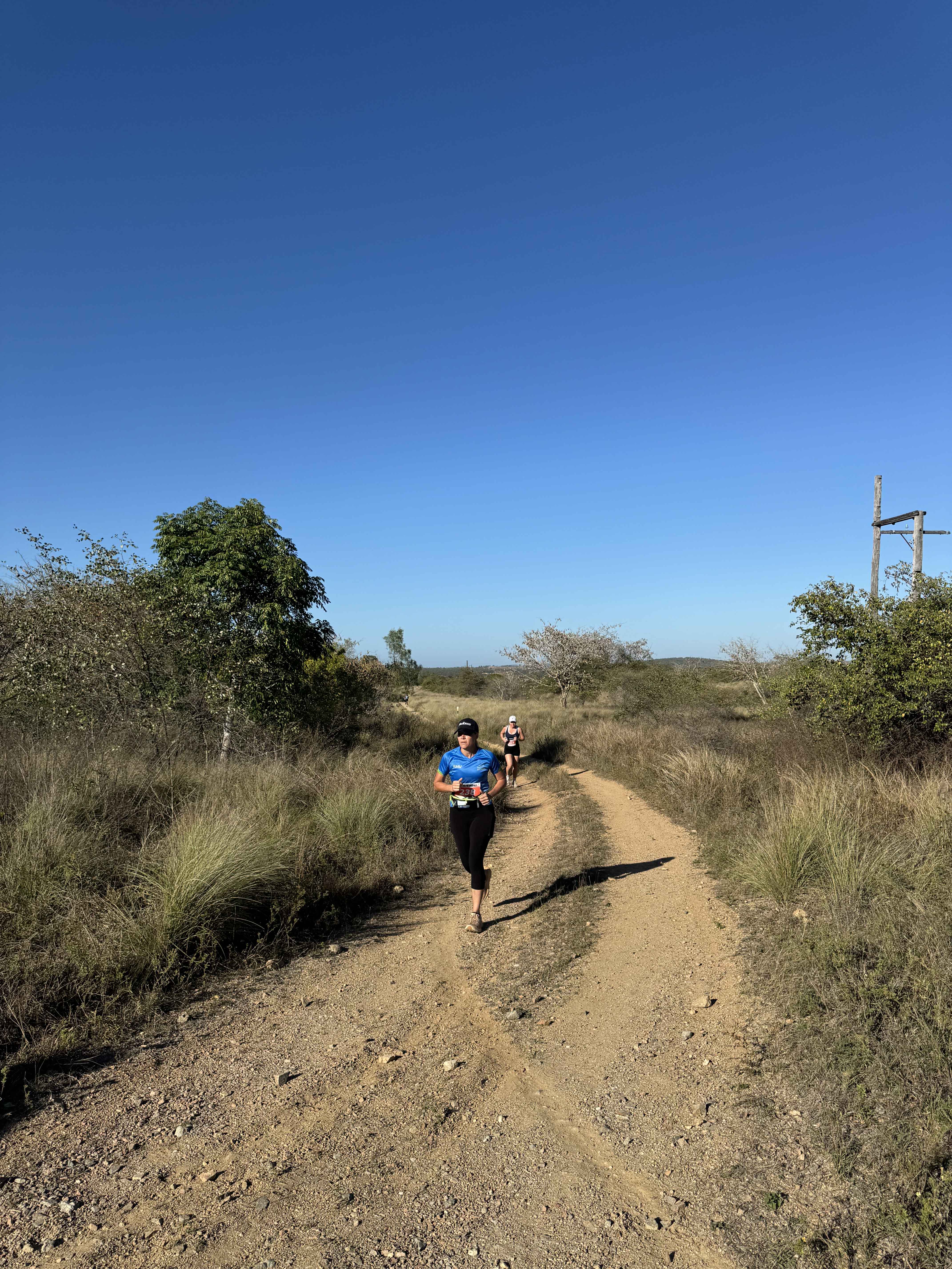 Towers Hill Fun Run/Walk 2024