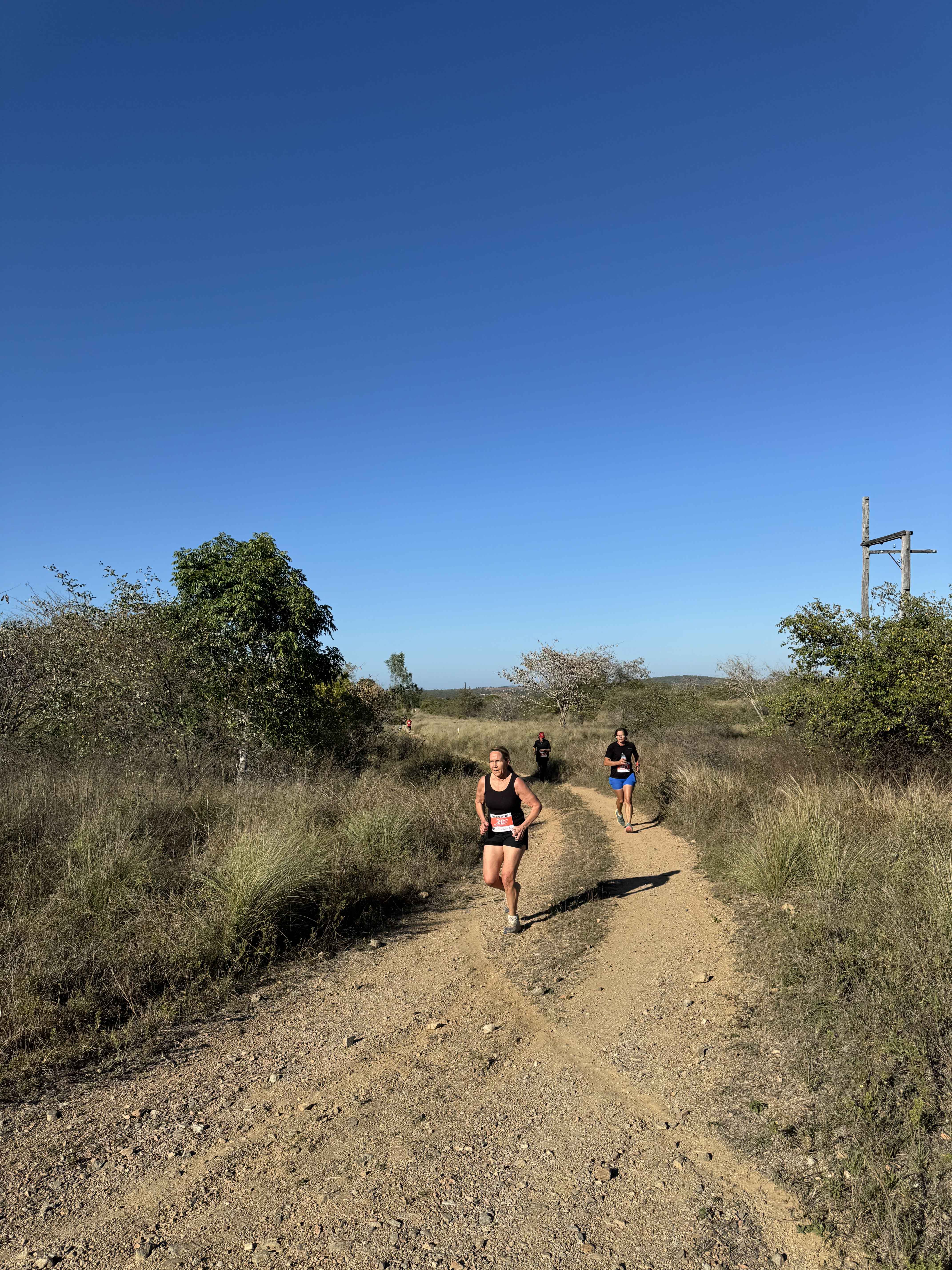 Towers Hill Fun Run/Walk 2024