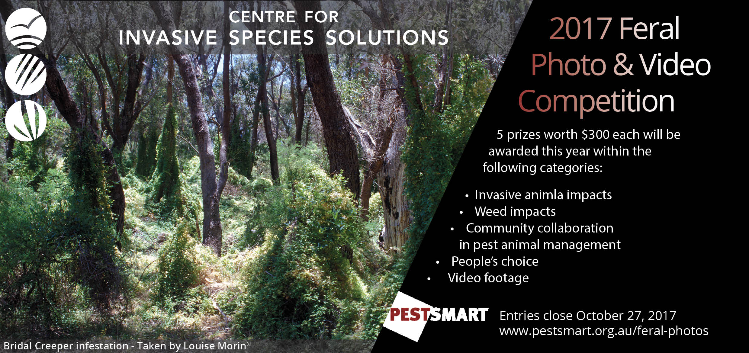 Centre For Invasive Species Solutions - Flash Your Best Feral Photos ...